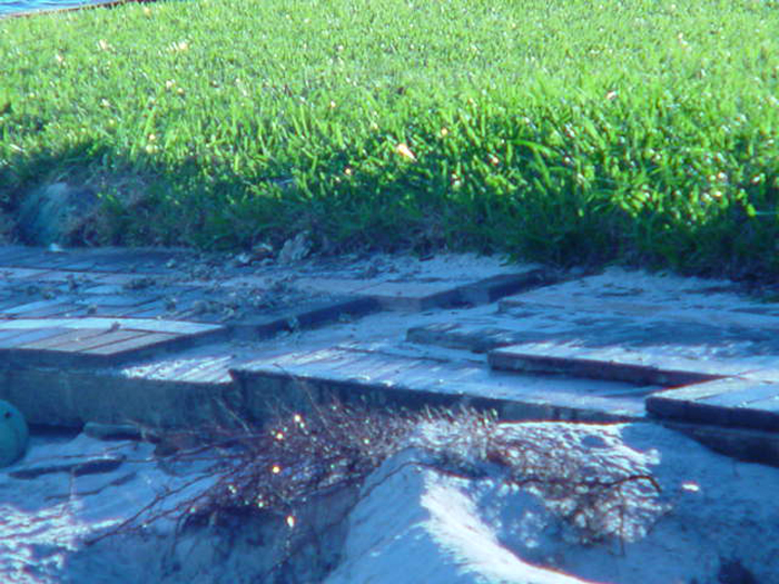 Ivan Salvage Photo's 088