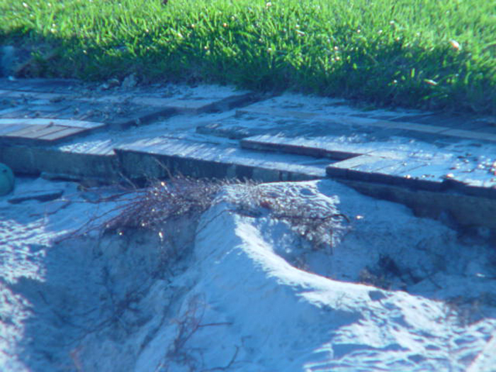 Ivan Salvage Photo's 089