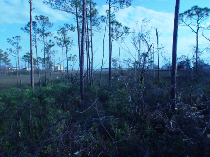 Ivan Salvage Photo's 138