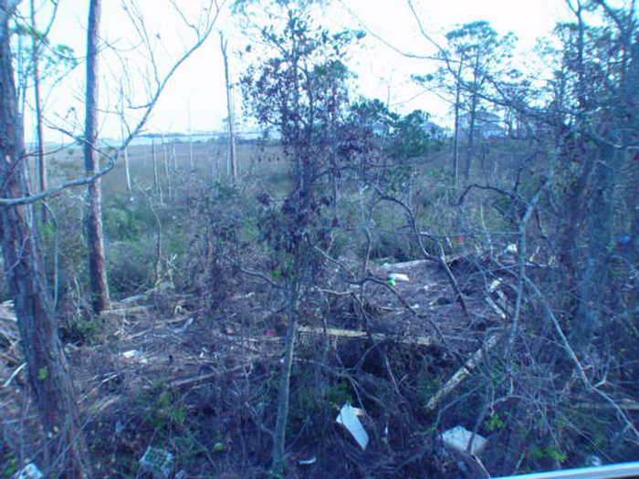 Ivan Salvage Photo's 142